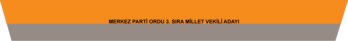 logo background